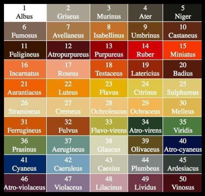 ColorNamesTable