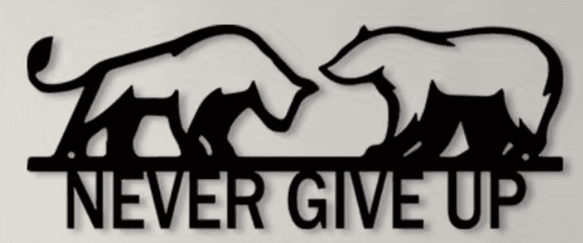 Never Give up