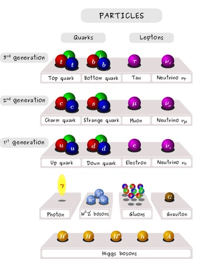 image-36