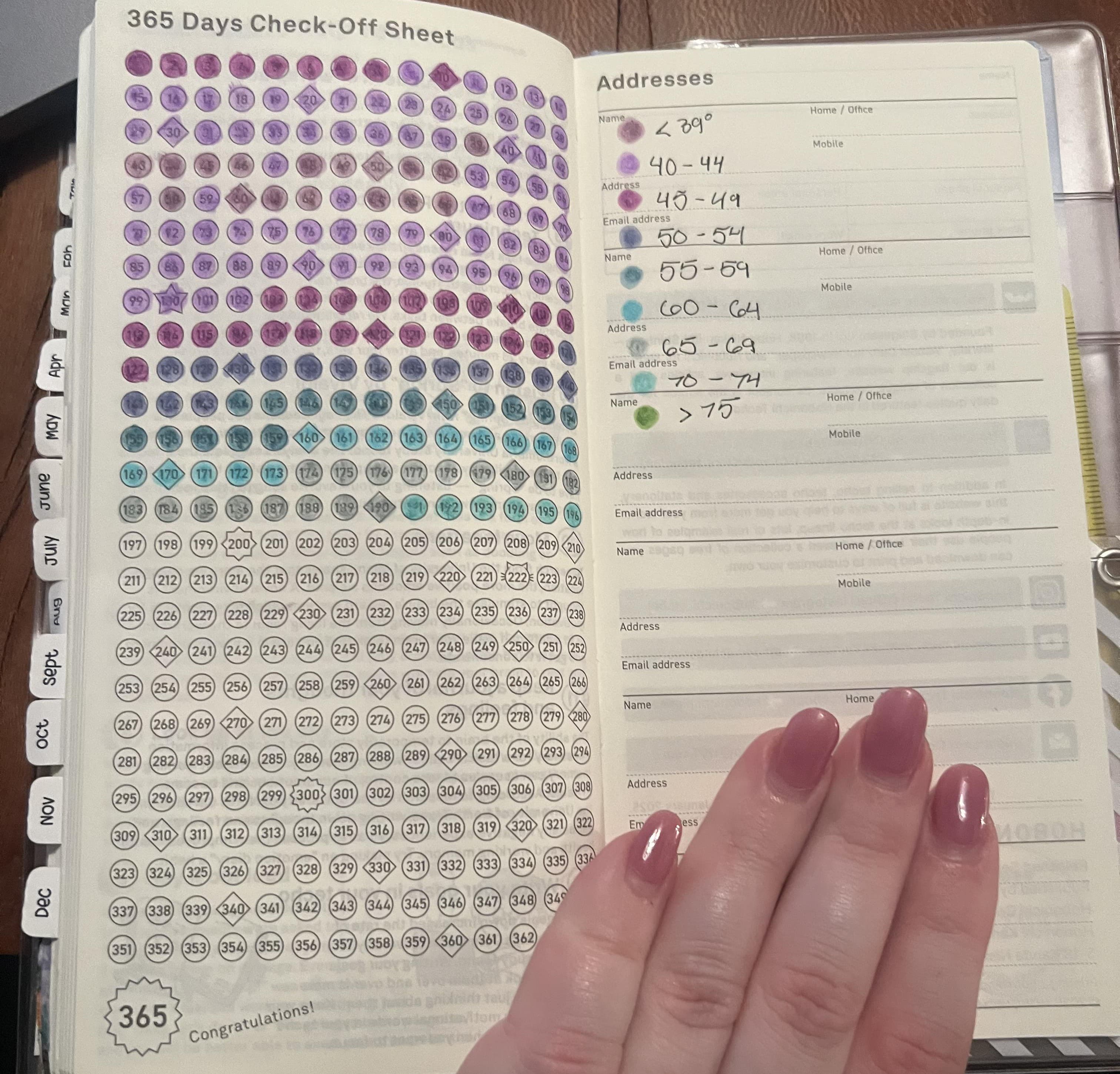 365 days circles