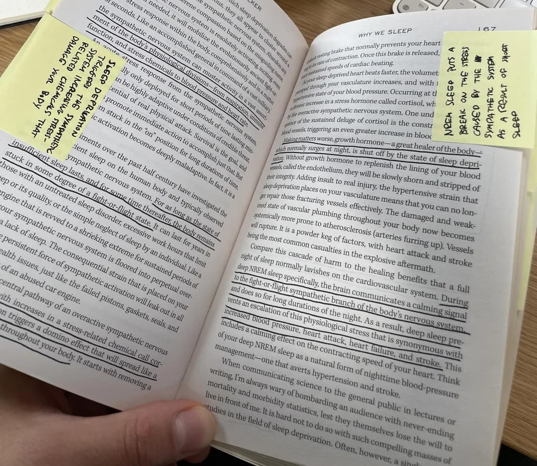 transparent sticky notes